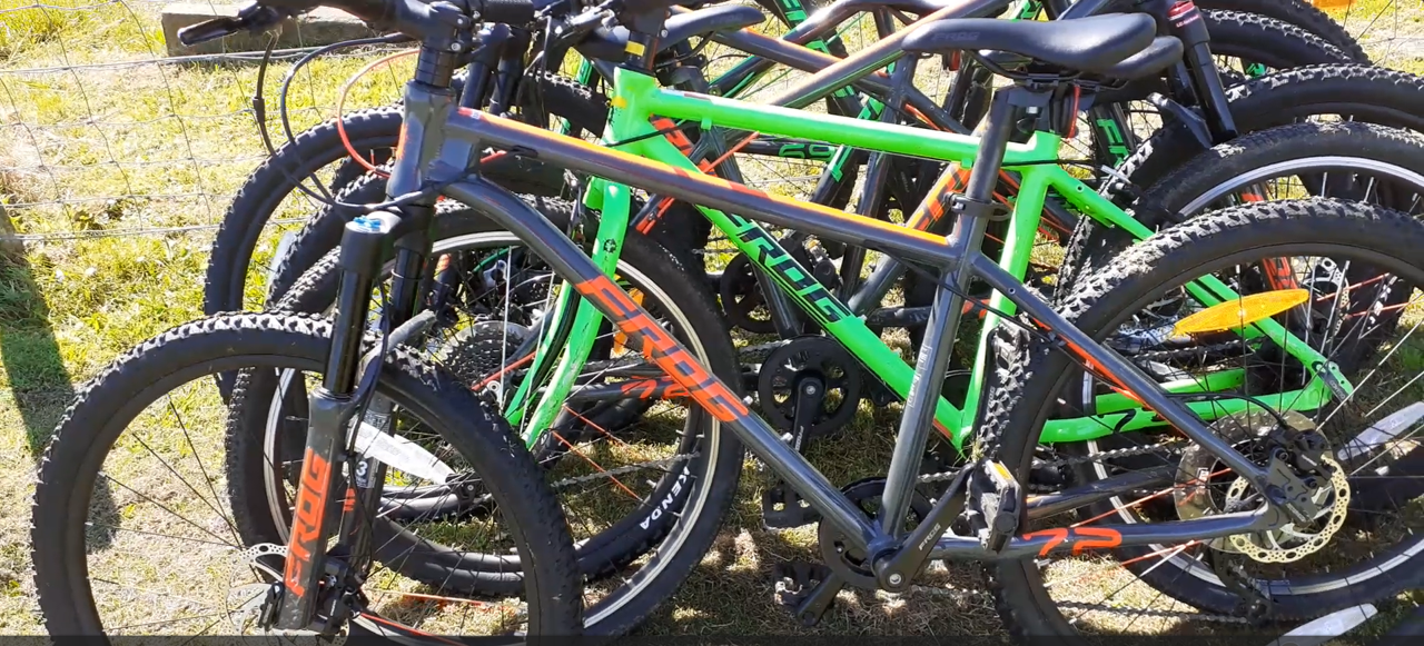 a close up of a group of parked bikes