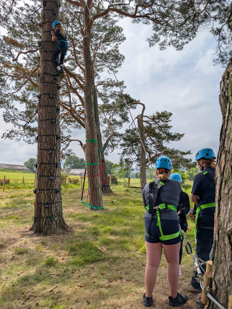 Tree Climbing in style
