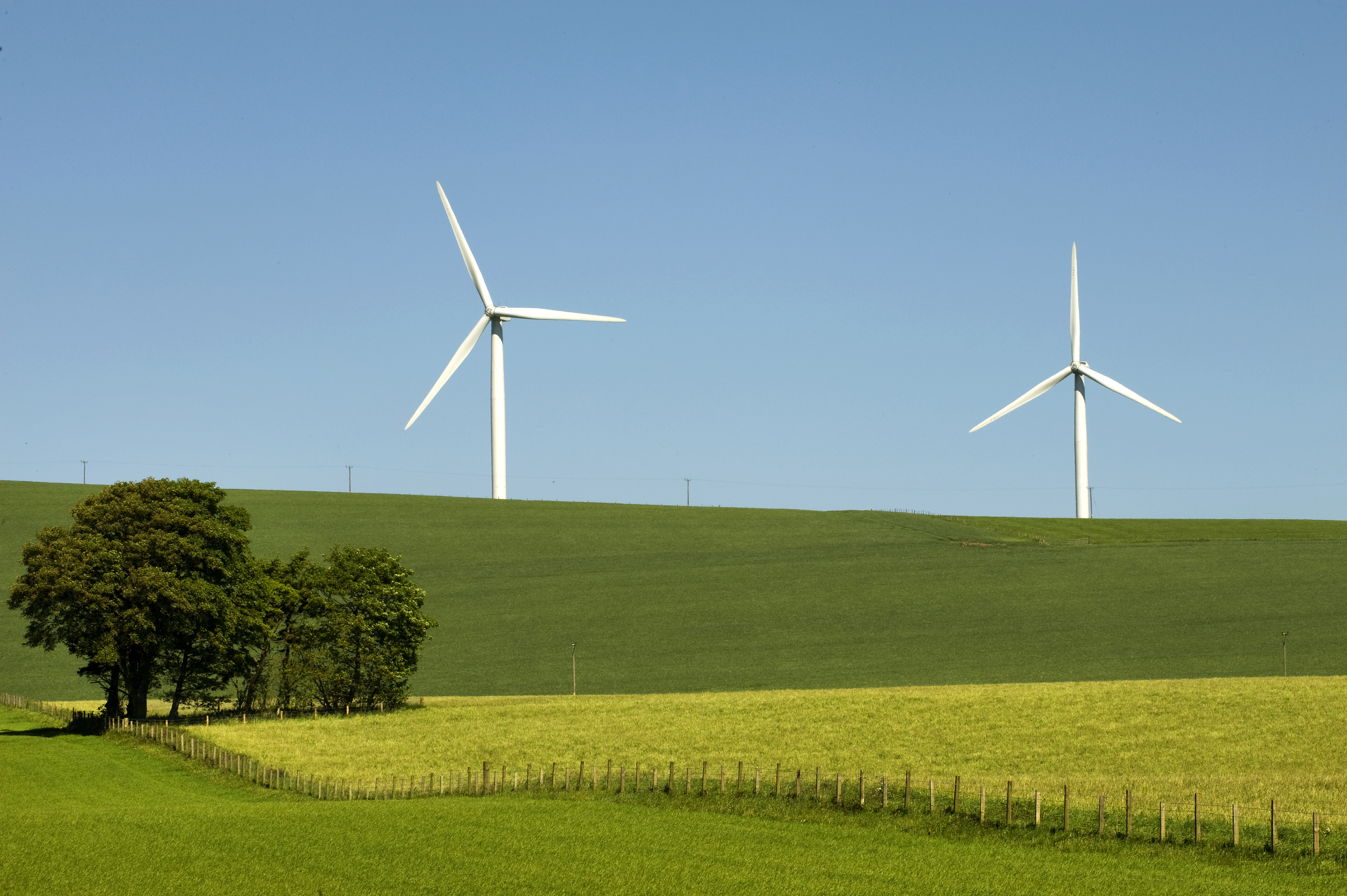 Image of fields with two wind turbines in the background.