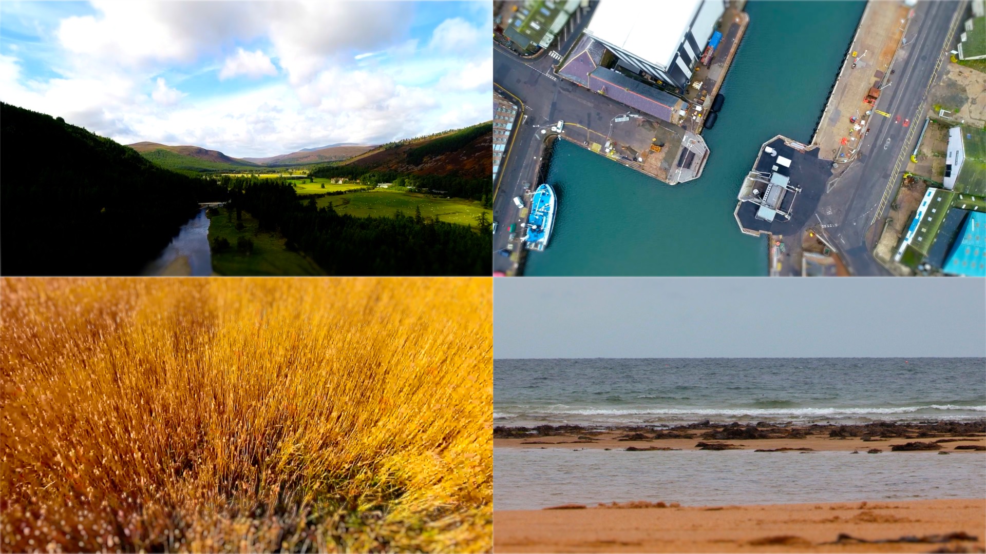 4 different images of the Aberdeenshire countryside