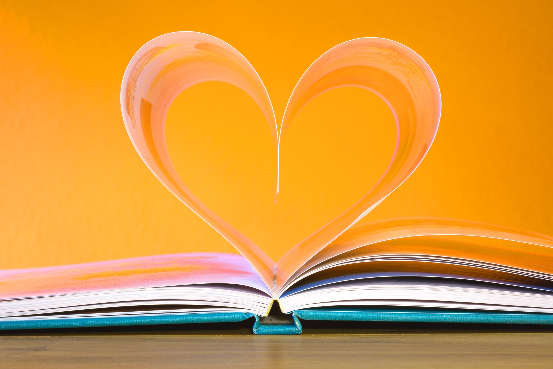 A book with it's pages forming a heart shape