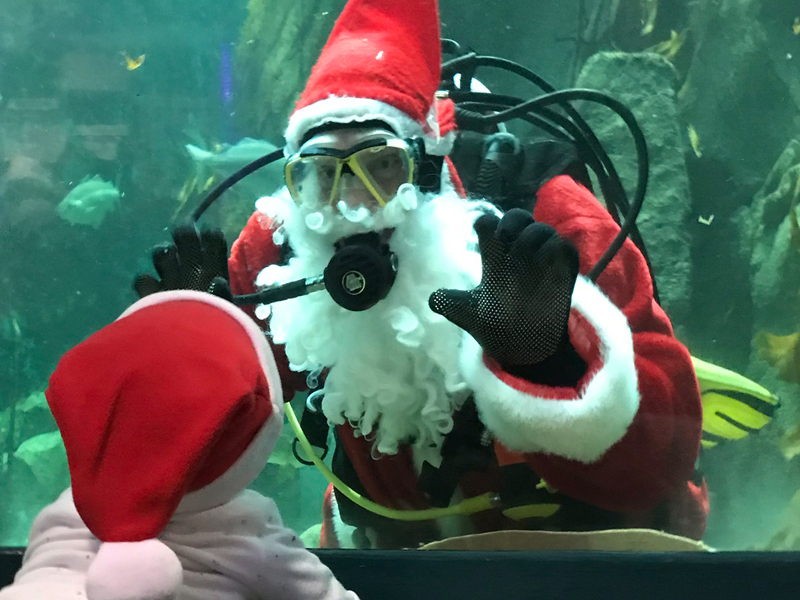 Diving Santa and Little Girl