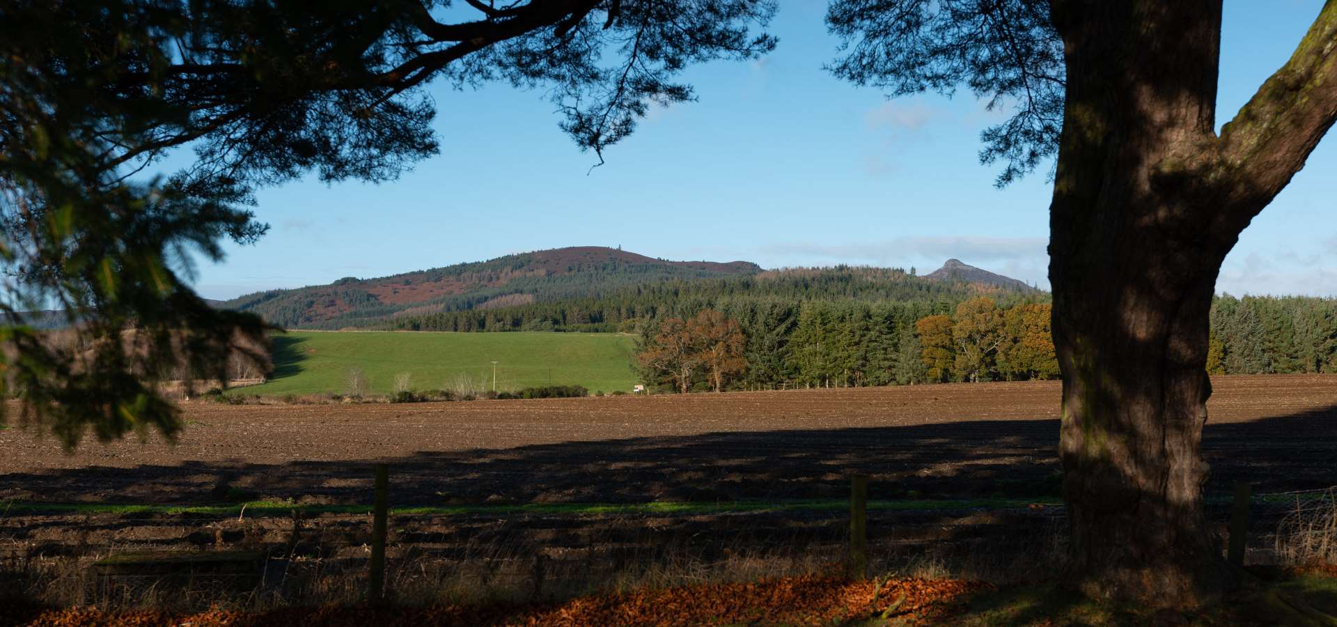 The view of the countryside from the Sir Arthur Grant Outdoor Centre