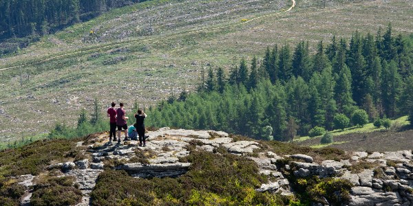 A group of walkers enjoying a low hills walk