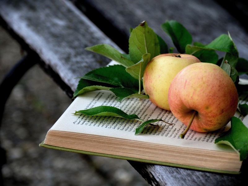 An apple sitting on an open book