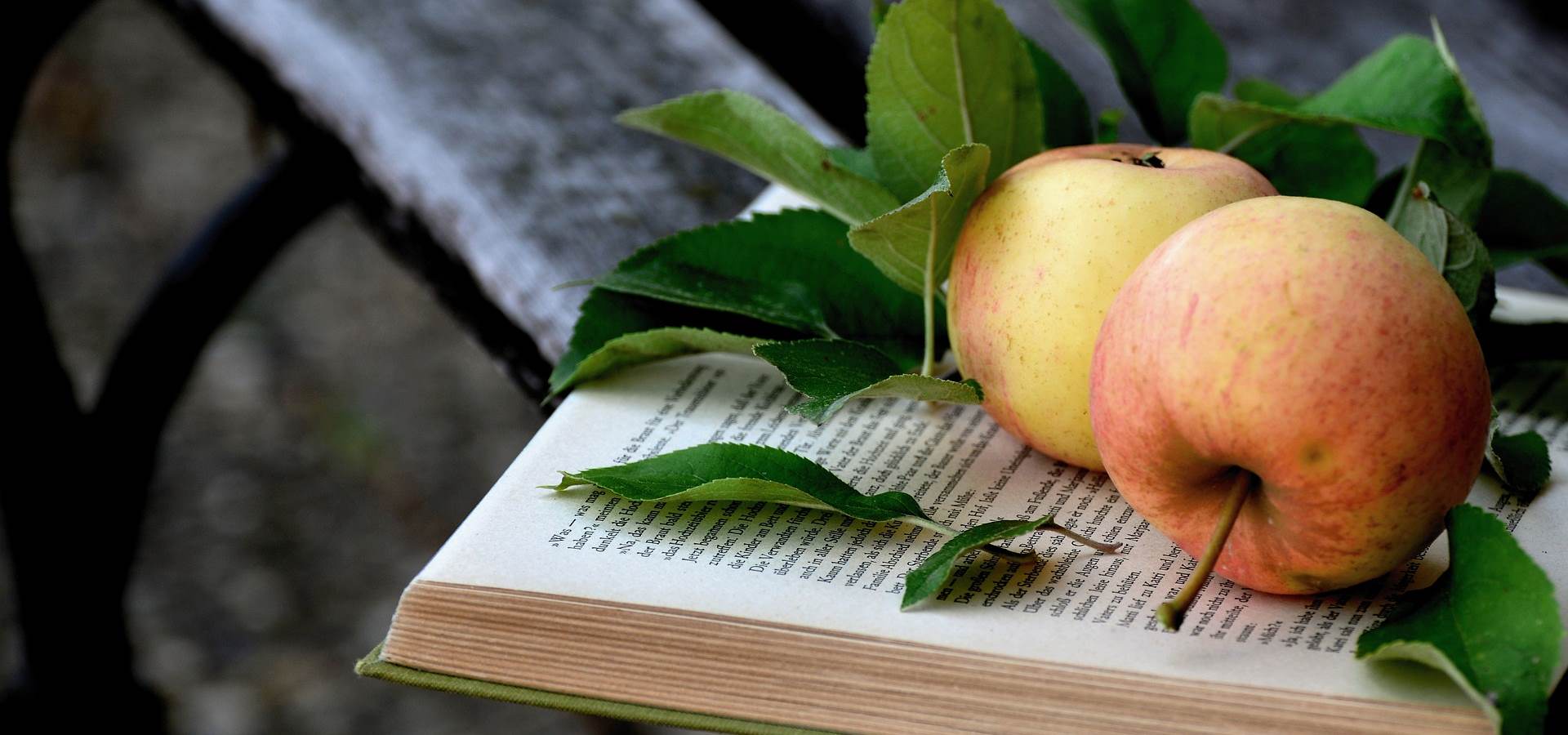 An apple sitting on an open book