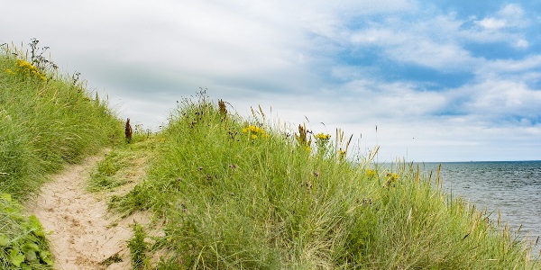 A photo of a seaside landscape