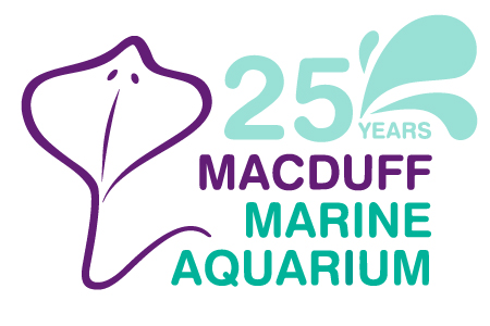 Macduff Marine Aquarium - Live, Life Aberdeenshire