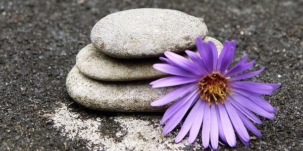 A pile of cairn stones with a purple flower next to them