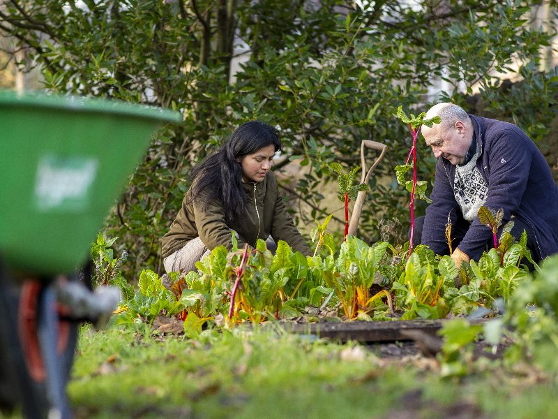 Two people doing some gardening