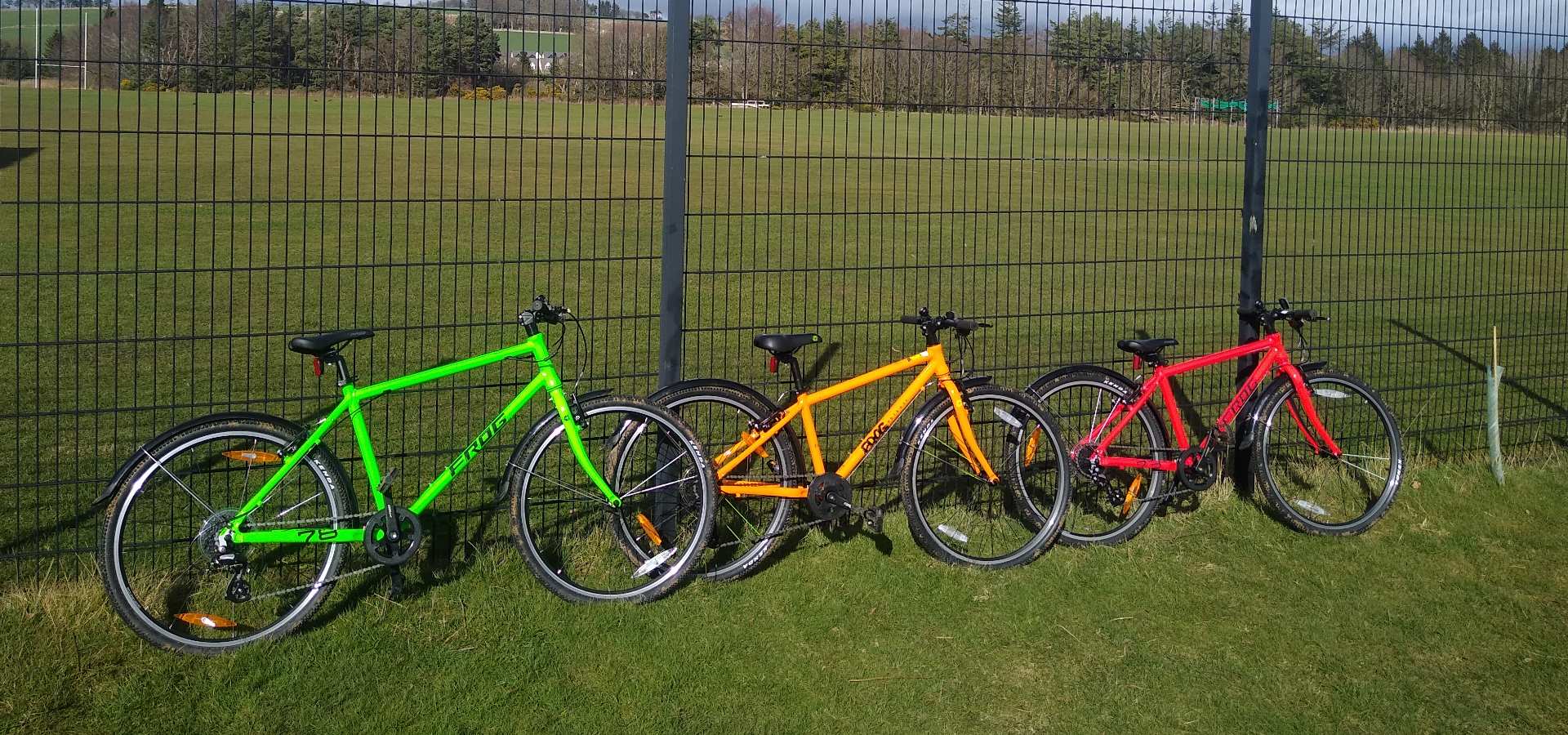 A row of colourful bikes