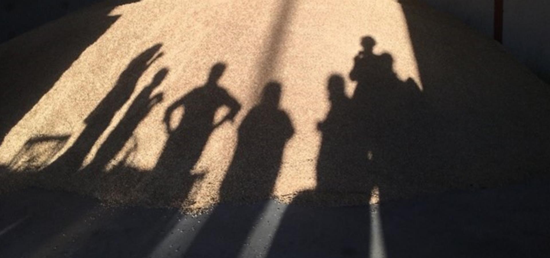 shadows of Art of Farming participants