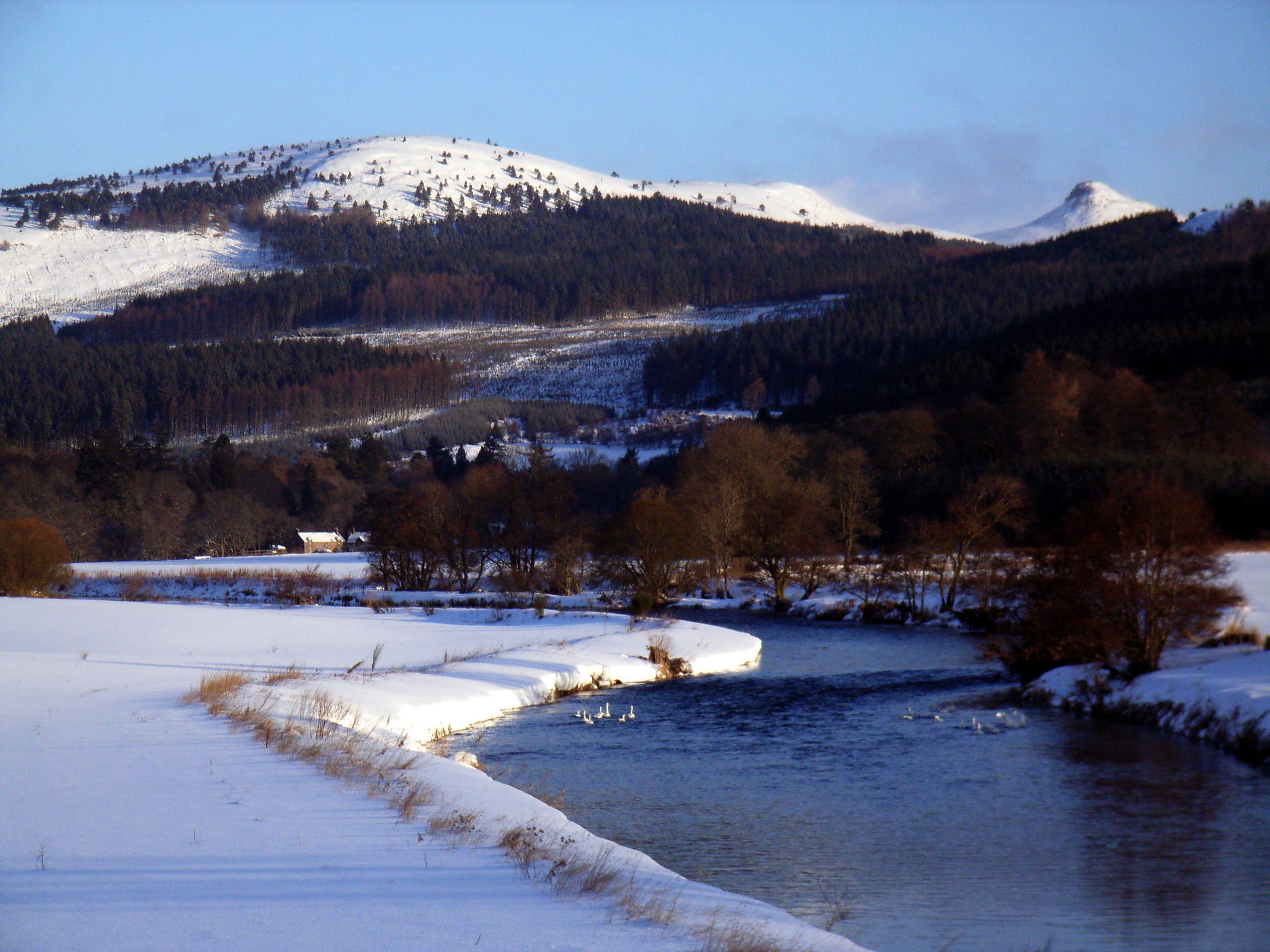 Looking up river from the centre to Bennachie