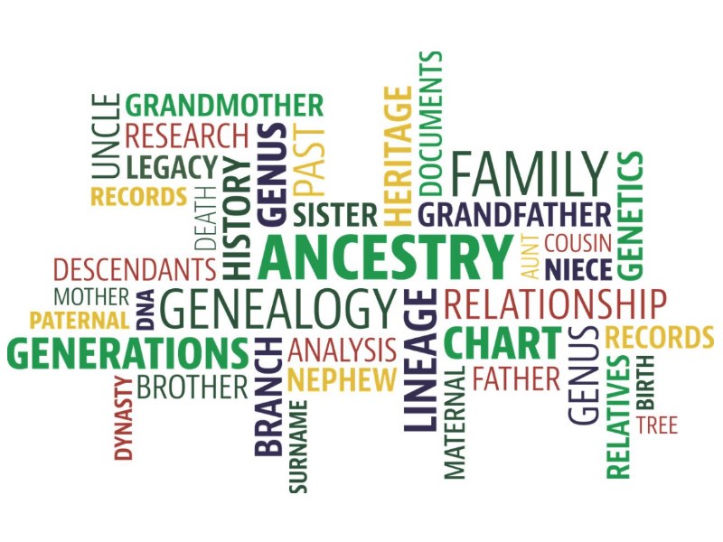 Family related words in a wordle format 